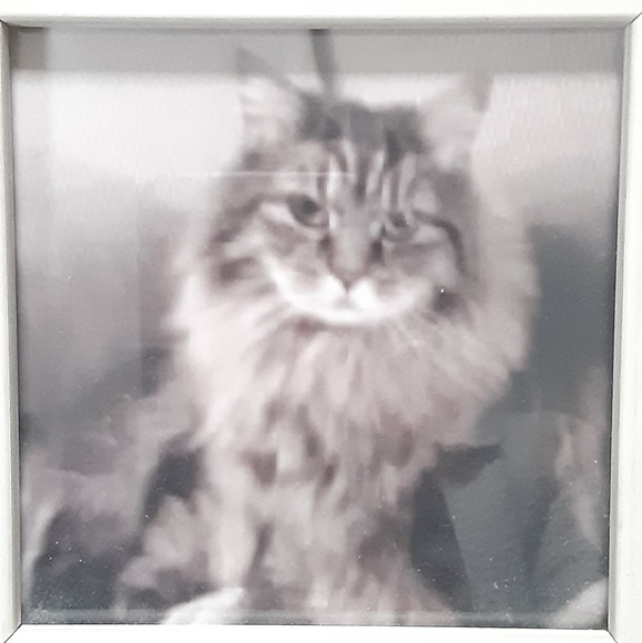 MeetThePosher🪷@Uniqueboutique - Picture 4 of 16